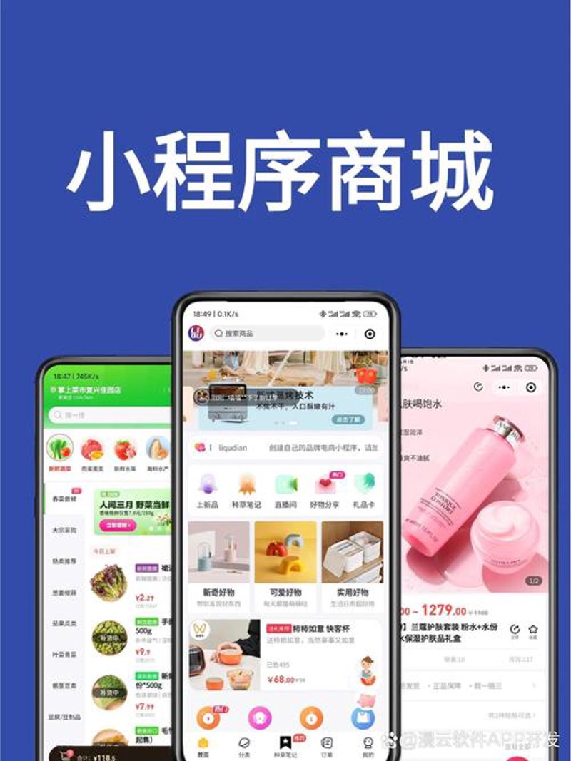 电商平台开发：连接商家与消费者的桥梁